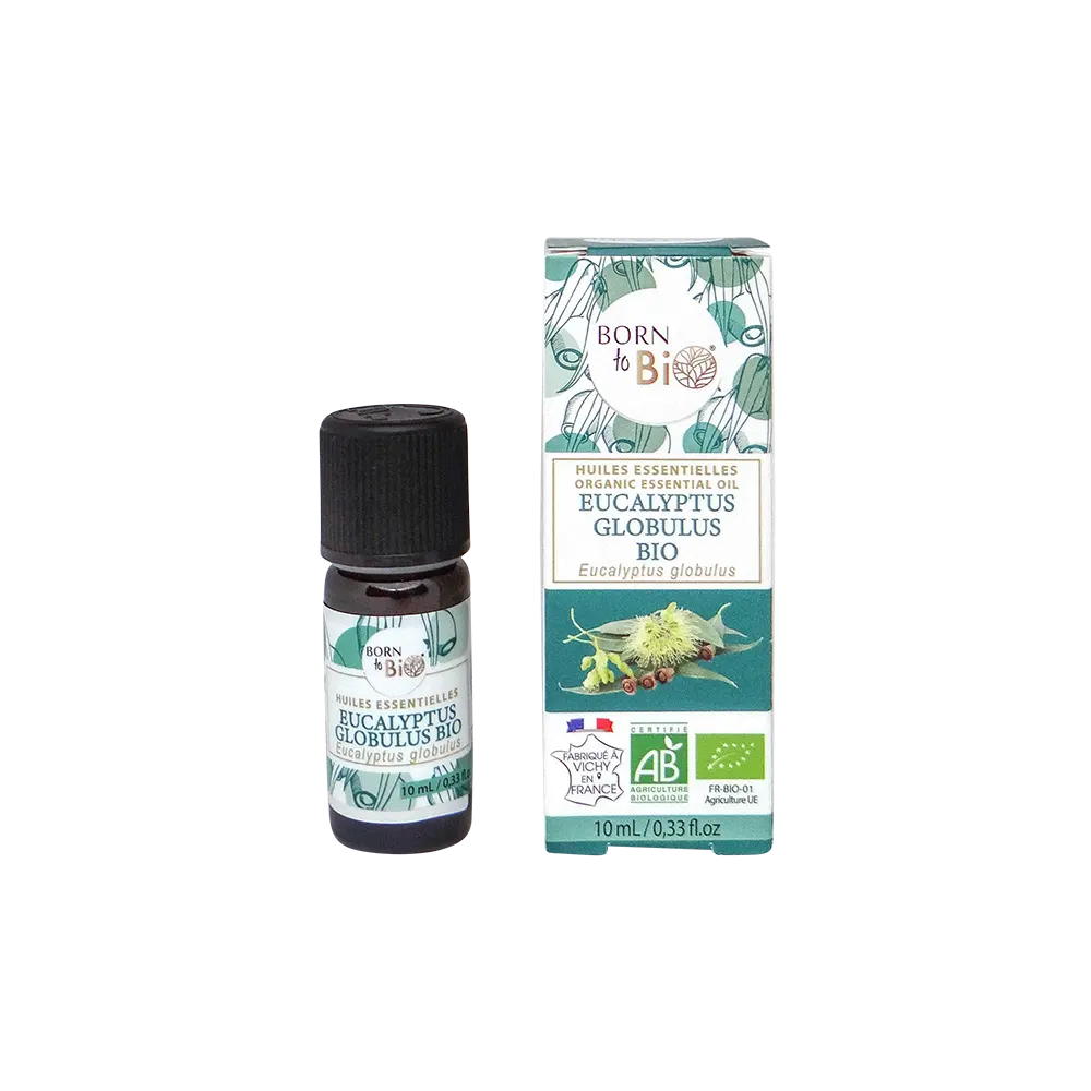 Organic Eucalyptus globulus essential oil